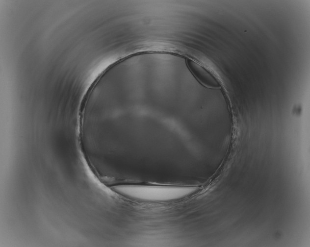 X0000111201095200907151408