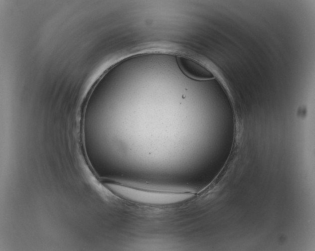 X0000111201099200907151408