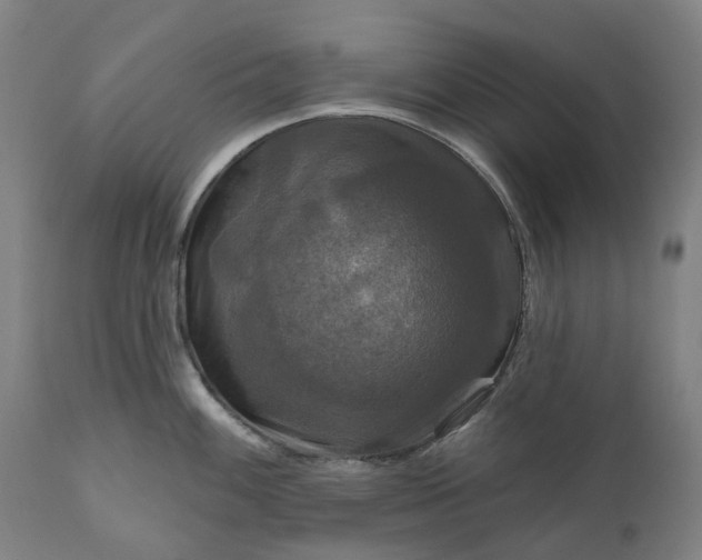 X0000111201100200907151408