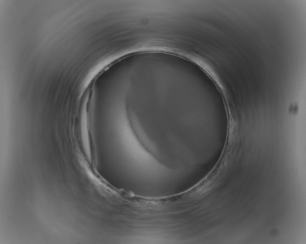 X0000111201101200907151408