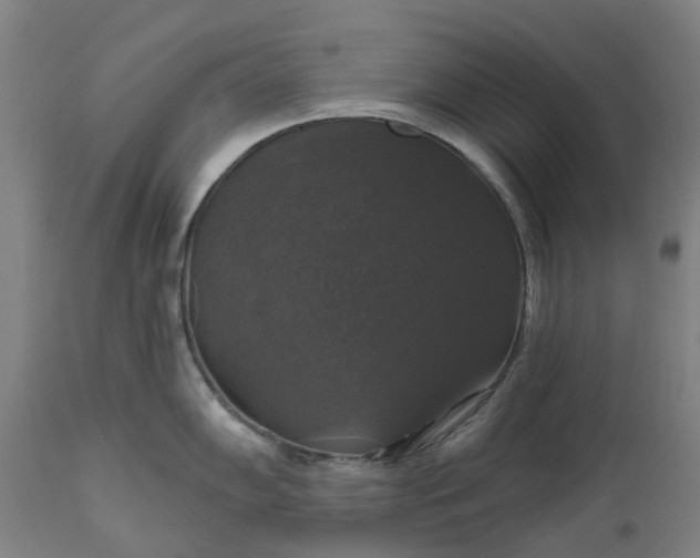 X0000111201102200907151408