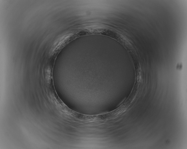 X0000111201108200907151407