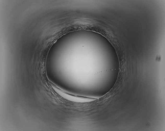 X0000111201109200907151407