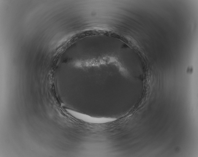 X0000111201110200907151407