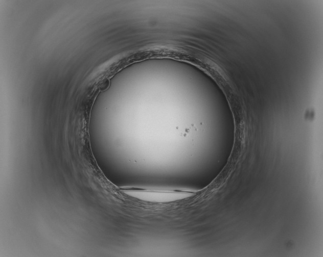 X0000111201111200907151407