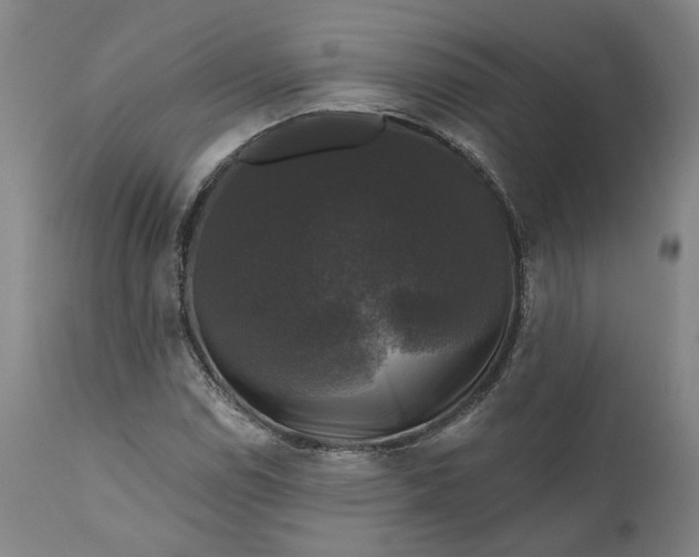 X0000111201114200907151407