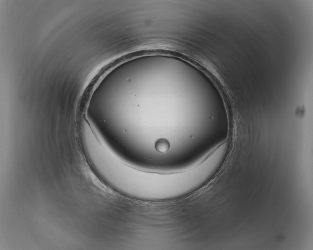 X0000111201116200907151407