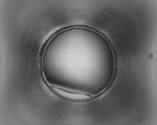 X0000111201118200907151407