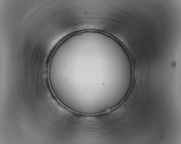 X0000111201119200907151407