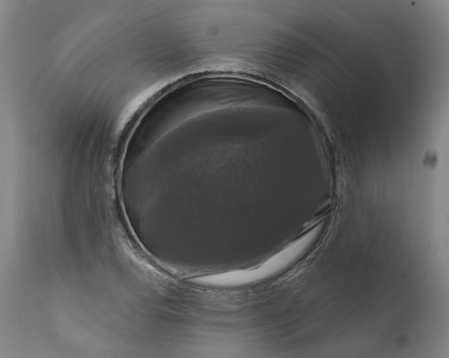 X0000111201120200907151407