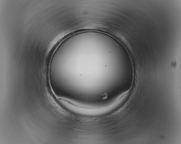 X0000111201122200907151407