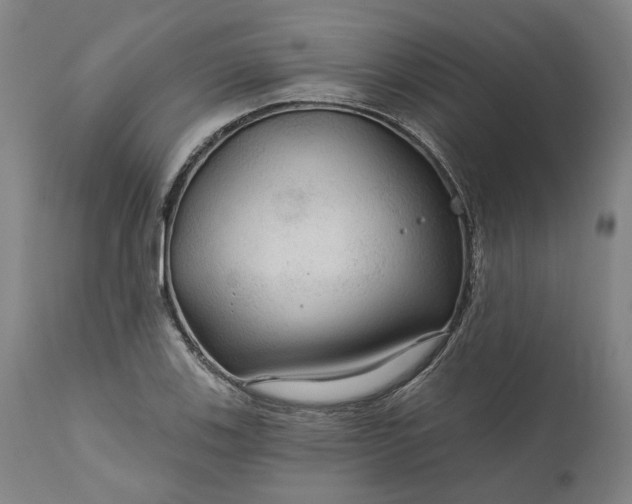 X0000111201123200907151407