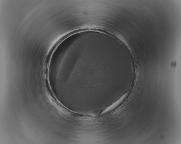 X0000111201124200907151407