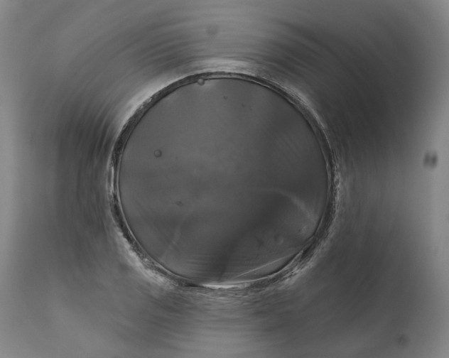 X0000111201125200907151407