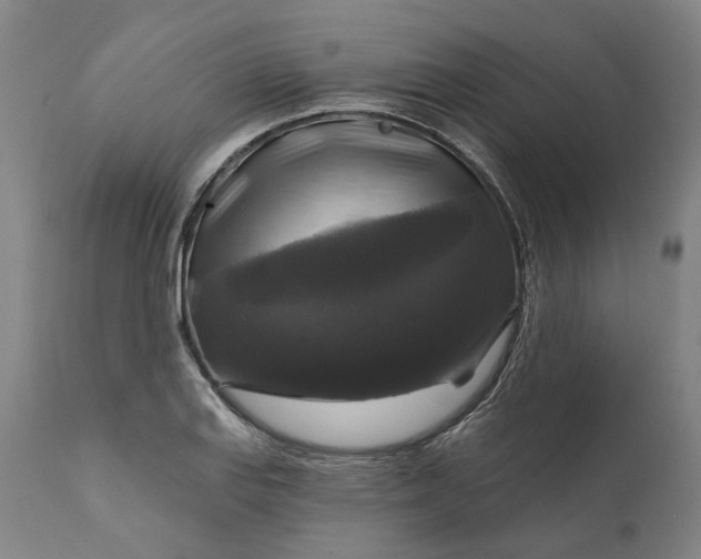 X0000111201127200907151407