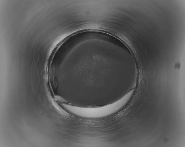 X0000111201128200907151407