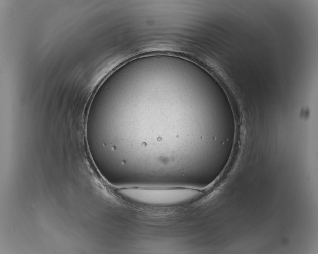 X0000111201129200907151407