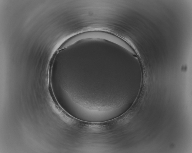 X0000111201132200907151407