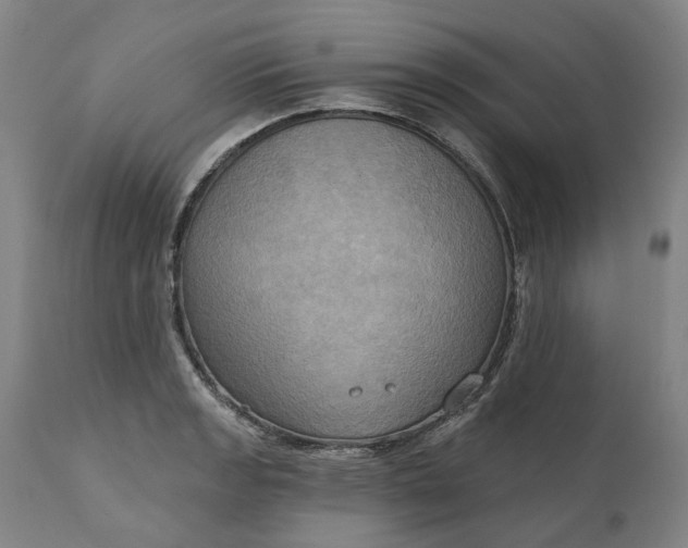 X0000111201133200907151407