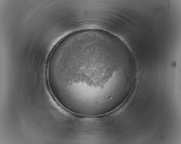 X0000111201134200907151407