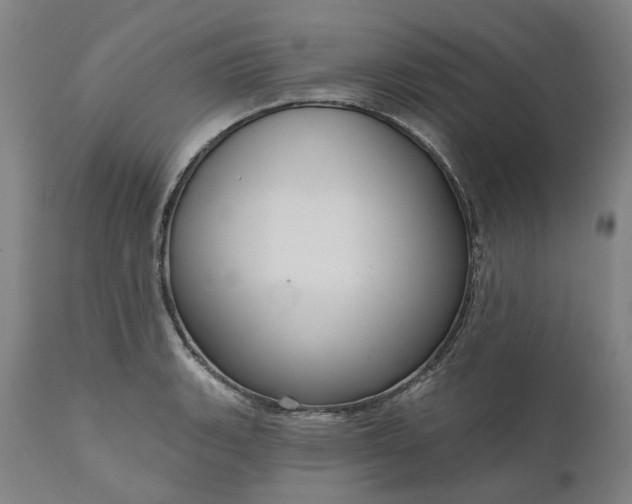 X0000111201135200907151407