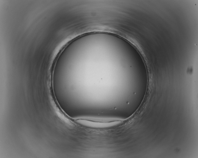 X0000111201136200907151407