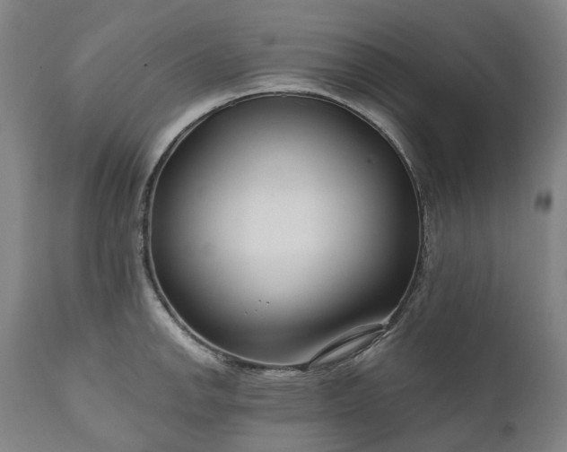 X0000111201142200907151407