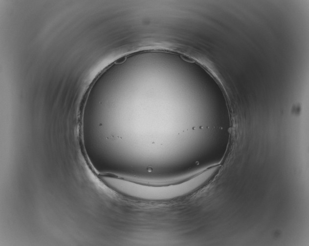 X0000111201143200907151407