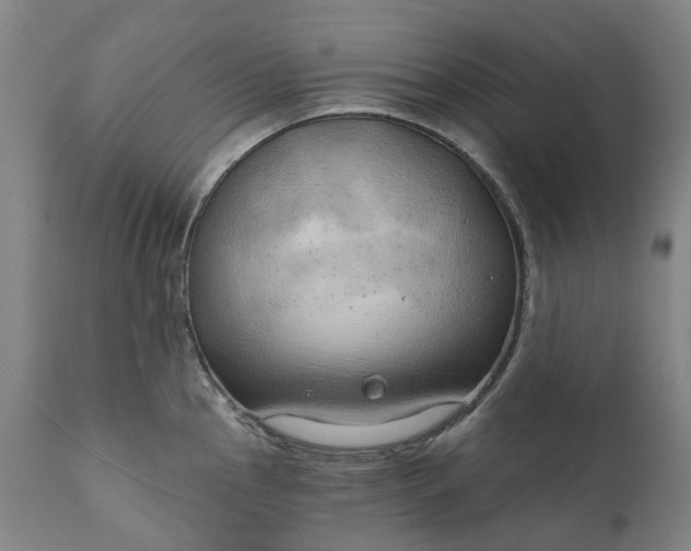 X0000111201145200907151407