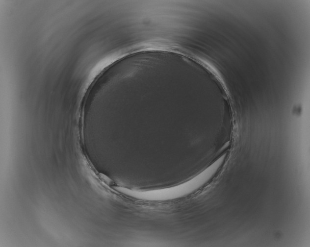 X0000111201146200907151407