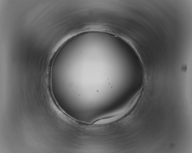 X0000111201147200907151407