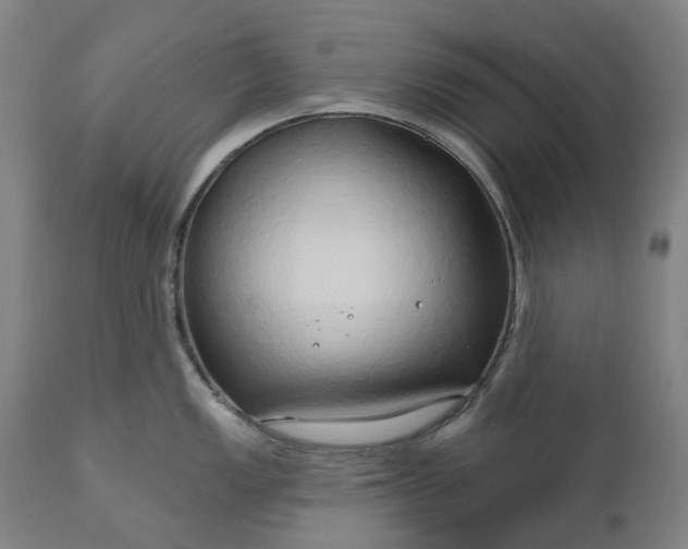 X0000111201149200907151407