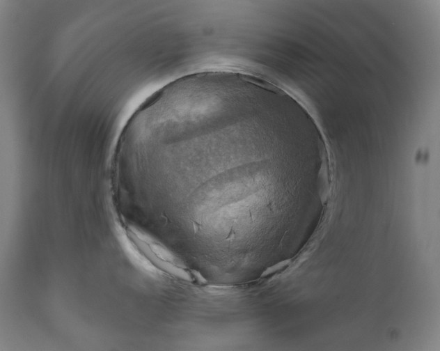 X0000111201152200907151408