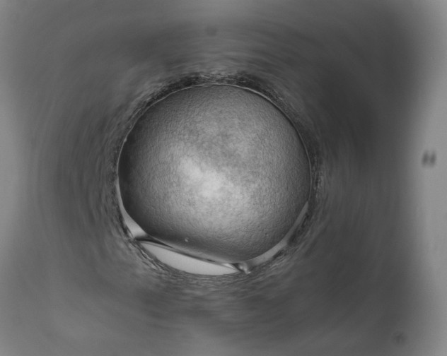 X0000111201153200907151407