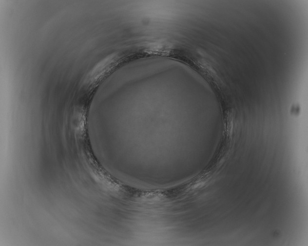 X0000111201154200907151407