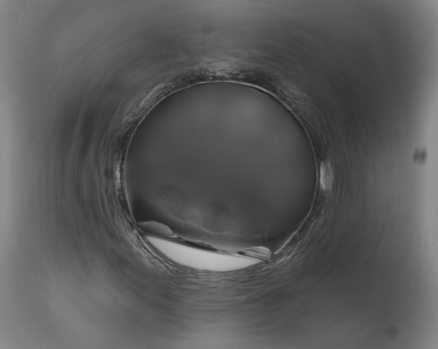 X0000111201155200907151407