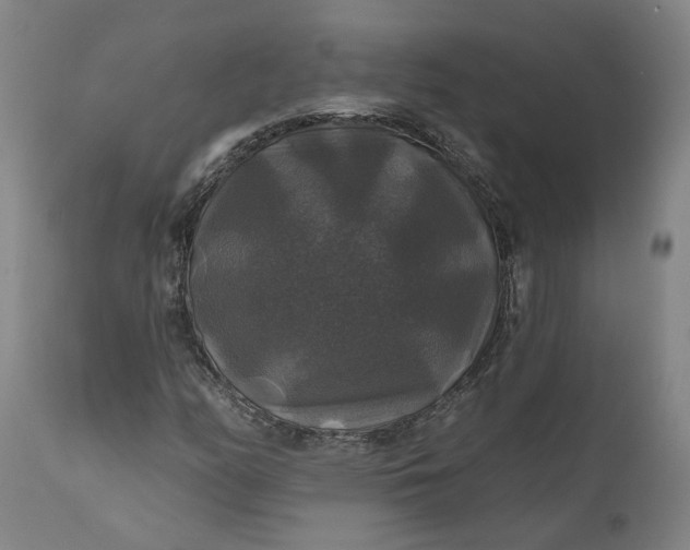 X0000111201158200907151407