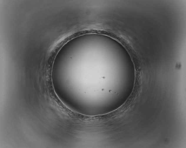 X0000111201159200907151407