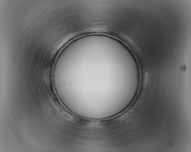 X0000111201162200907151407