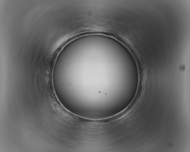 X0000111201163200907151407