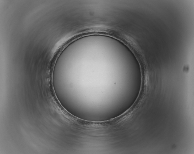 X0000111201164200907151407