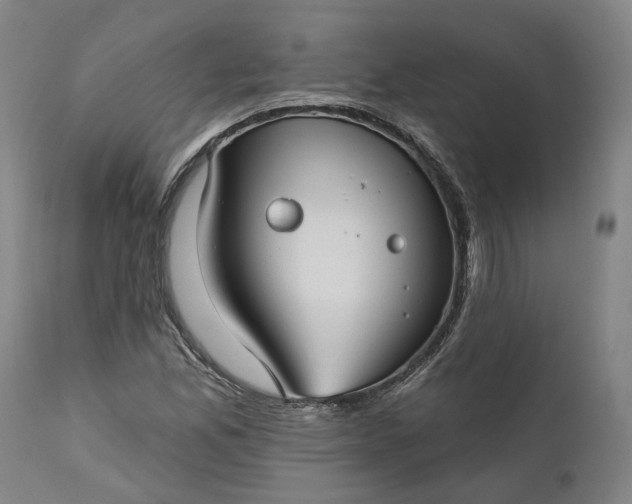 X0000111201165200907151407