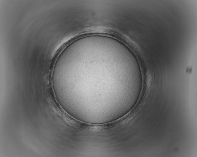 X0000111201166200907151407