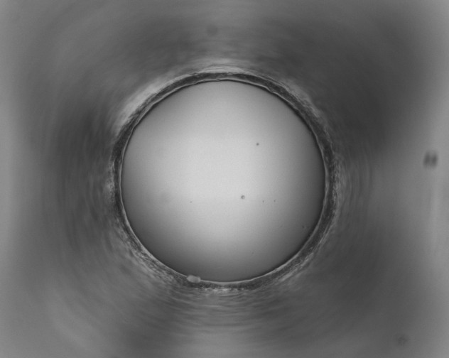 X0000111201167200907151407