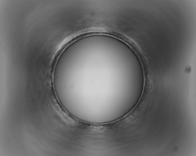 X0000111201168200907151407