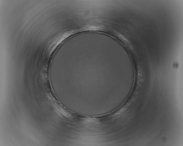 X0000111201170200907151407