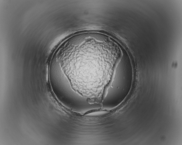 X0000111201171200907151407