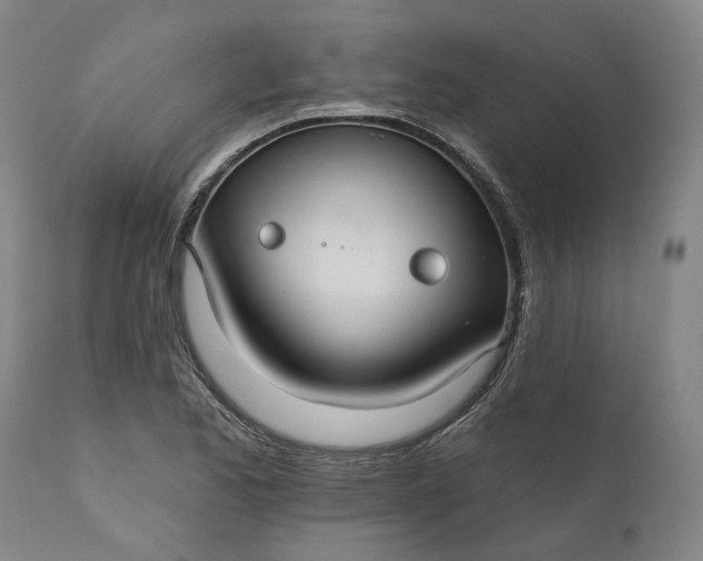 X0000111201173200907151407