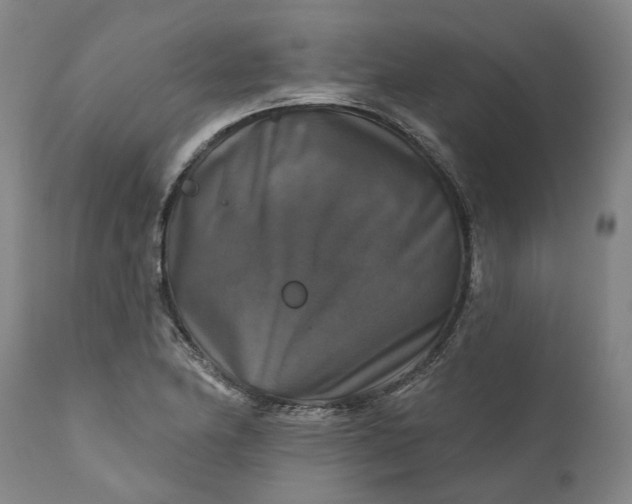 X0000111201174200907151407