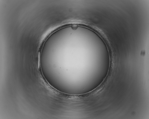 X0000111201175200907151407